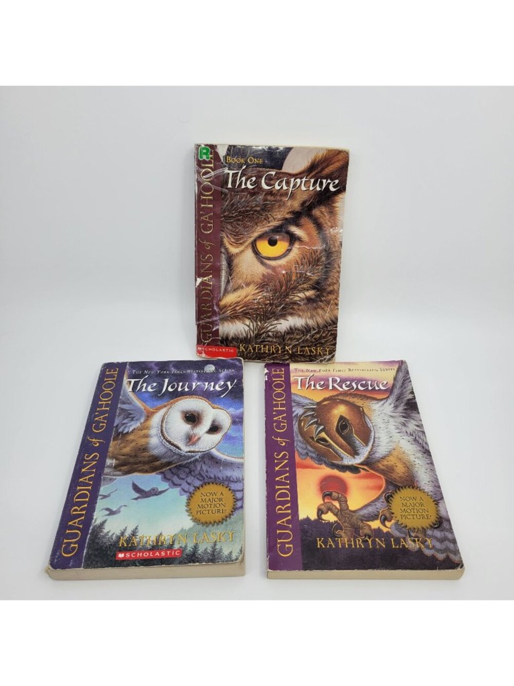 Guardians of Ga'Hoole by Kathryn Lasky Lot of Chapter Books - BK093